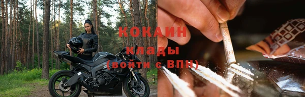 дживик Тихвин