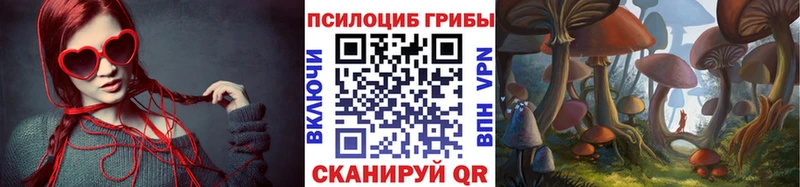 Купить закладки  Астрахань  Псилоцибиновые грибы мицелий 